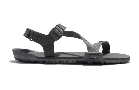 Steel Gray/Asphalt