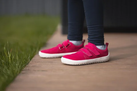 96065a62ab6ad440.jpg