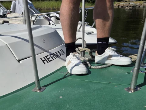 Sneakers